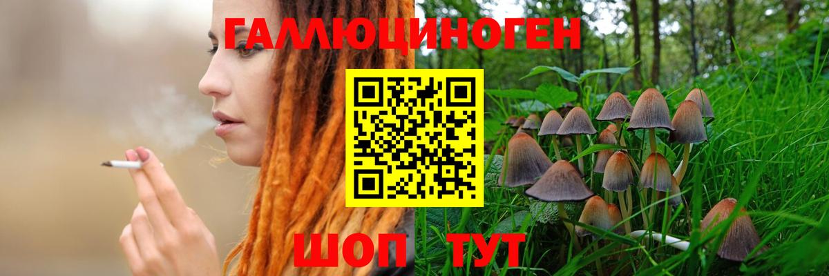 Галлюциногенные грибы Magic Shrooms  Галлюциногенные грибы ЛСД  Вход с VPN  Лабинск 